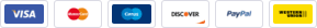 payment
